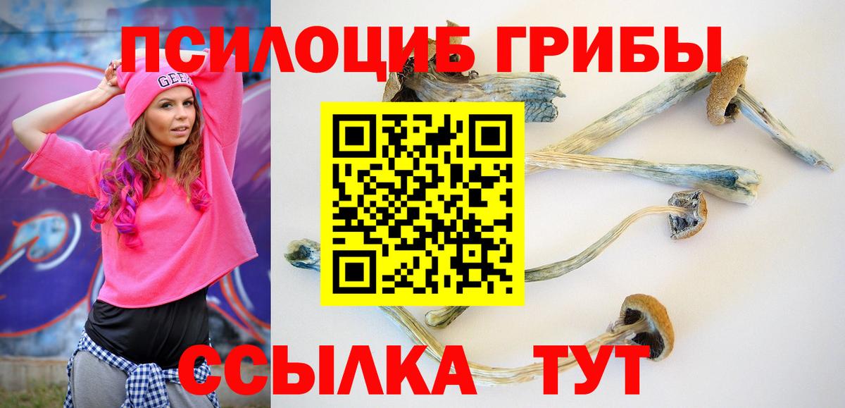 Ковров  Псилоцибиновые грибы Magic Shrooms  Вход с VPN 