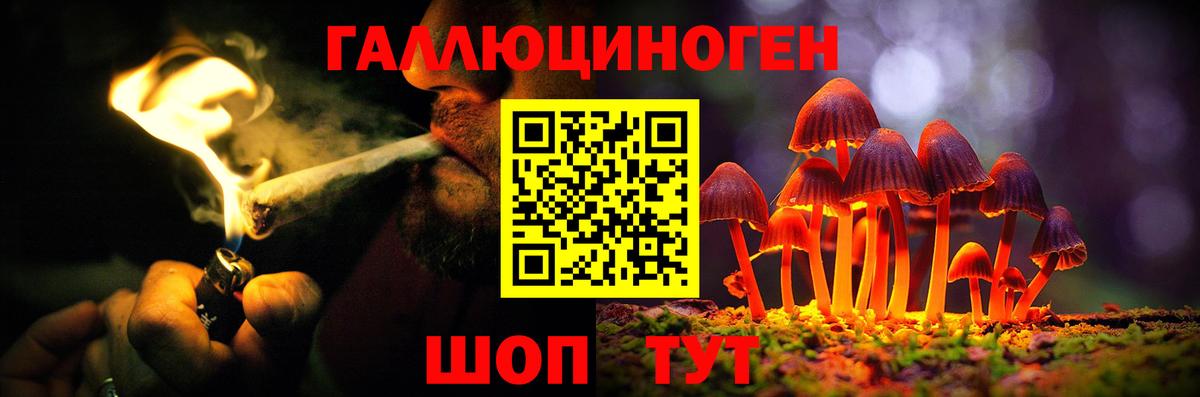 Галлюциногенные грибы мицелий Ковров